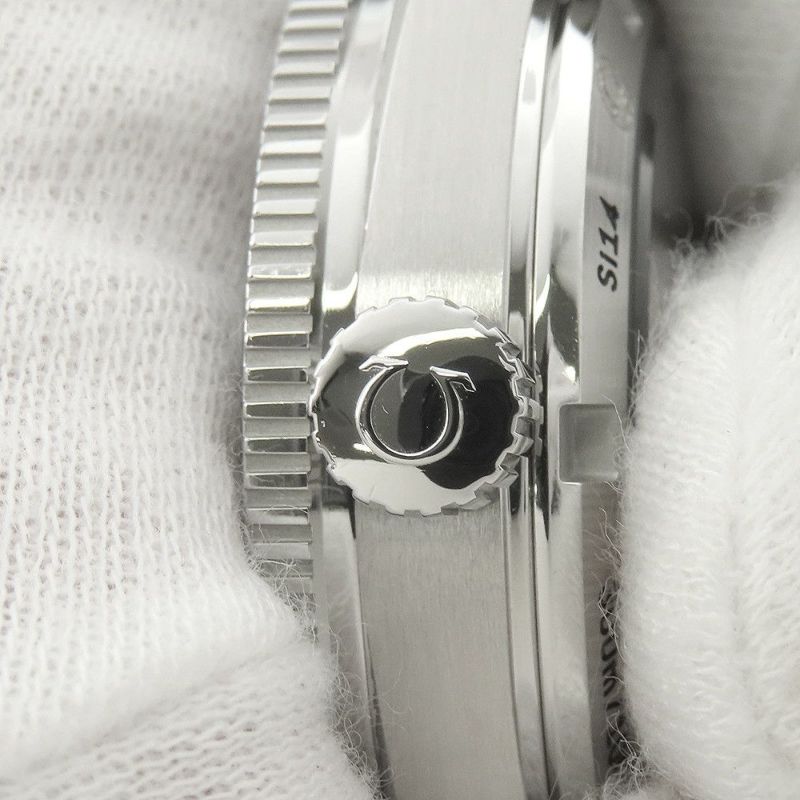 オメガ シーマスター300 マスターコーアクシャル 233.30.41.21.01.001 OMEGA 腕時計 メンズ 黒文字盤