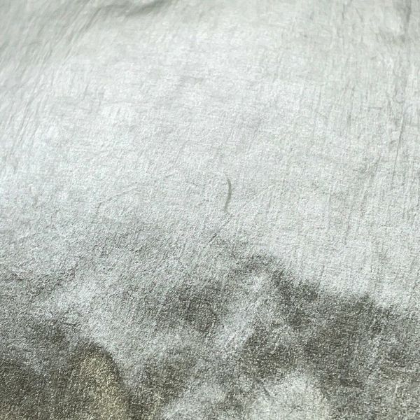 セリーヌ ダウンジャケット バックロゴ Parka in Nylon ナイロン メンズサイズ44 2W430819L CELINE アウター