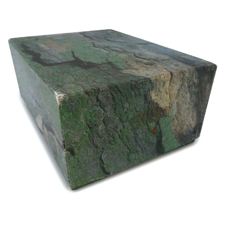 ロレックス エクスプローラー1 A番 14270 ROLEX 腕時計 黒文字盤