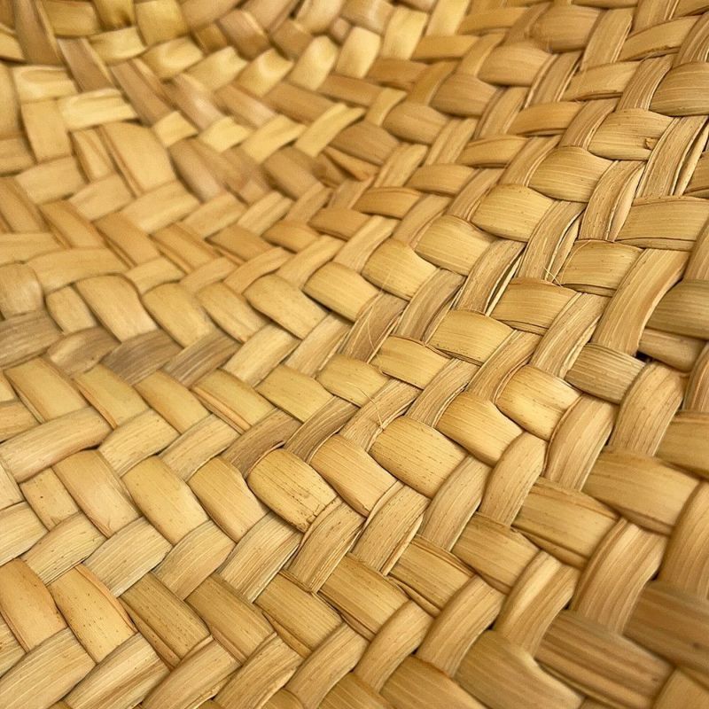 セリーヌ ハンドバッグ ティーン トリオンフ クラシック パニエ ラフィア 194002CGG.25FO CELINE 2way かごバッグ