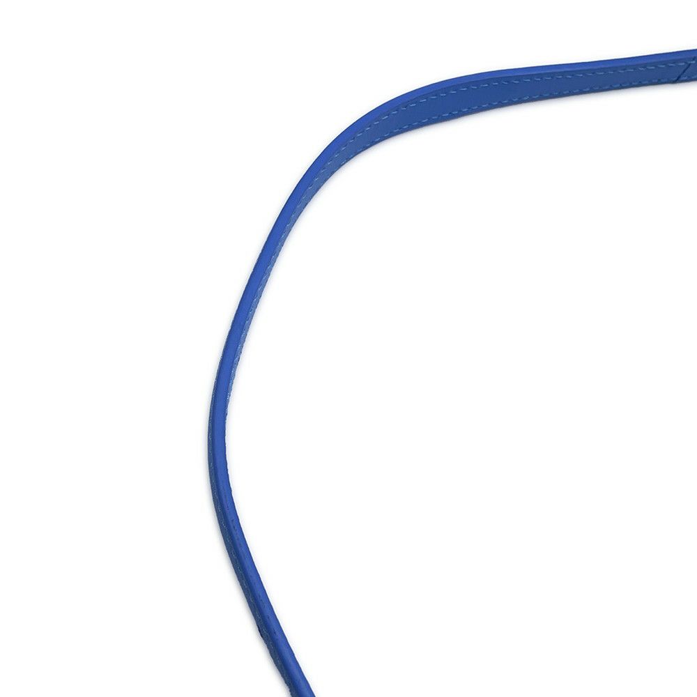 ロエベ ショルダーバッグ ゴヤ アナグラム レザー LOEWE バッグ