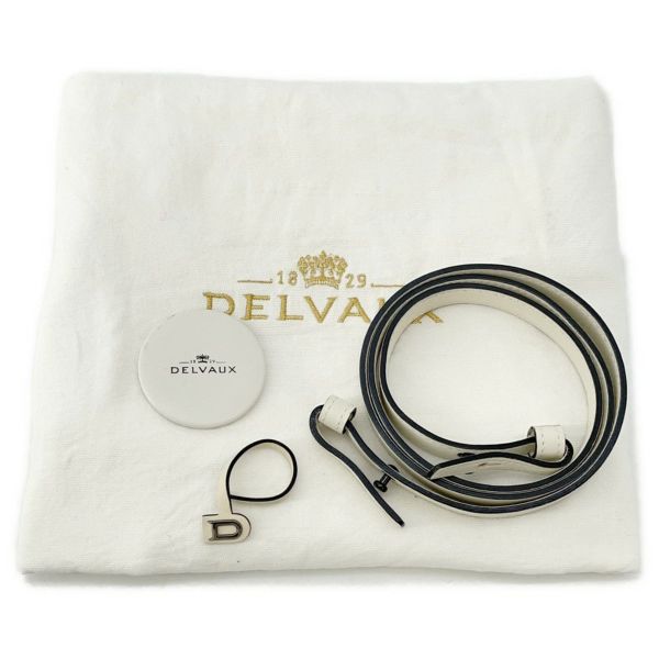 デルヴォー ハンドバッグ タンペートMM レザー Delvaux デルボー 2way 白