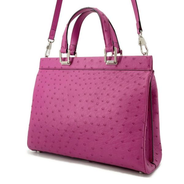 グッチ ハンドバッグ ズゥミ オーストリッチ 607408 GUCCI 2wayショルダー