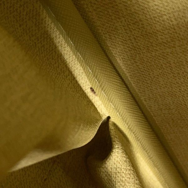 ルイヴィトン ハンドバッグ モノグラム ドーヴィル ボーリング・ヴァニティ M47270 LOUIS VUITTON