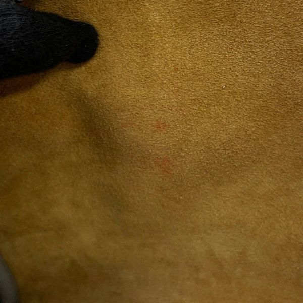 ロエベ ハンドバッグ アマソナ23 A039N07X02 LOEWE 2way