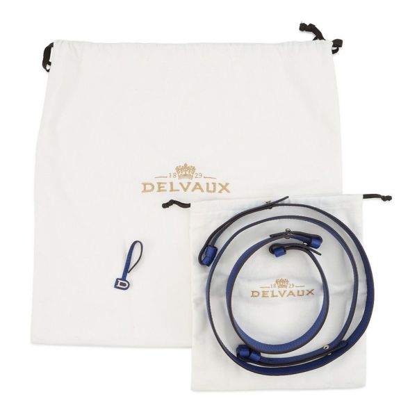 デルヴォー ハンドバッグ パン スイング AA0601AQY043LDO Delvaux 2way デルボー