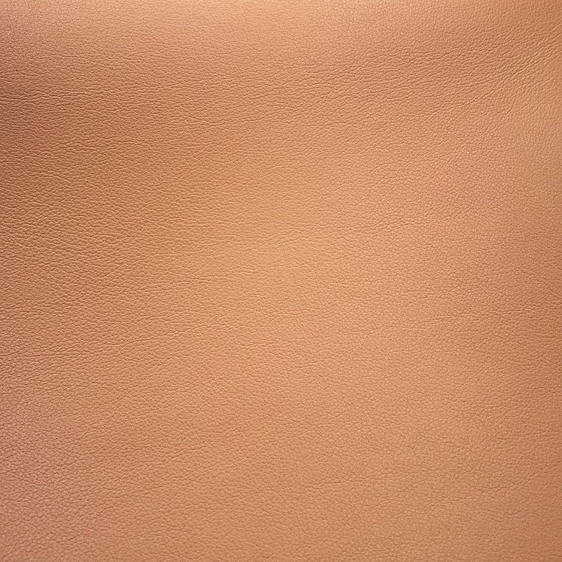 デルヴォー ハンドバッグ タンペートMM カーフレザー AA0368AAX024FDP Delvaux デルボー 2way