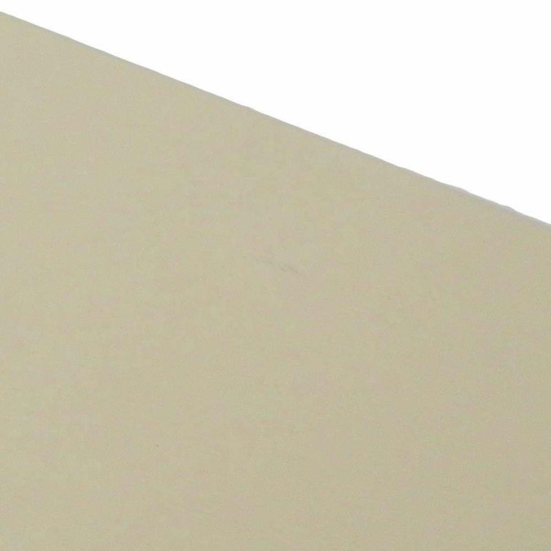 ロレックス オイスターパーペチュアル41 ランダムシリアル ルーレット 124300 ROLEX 腕時計 シルバー文字盤