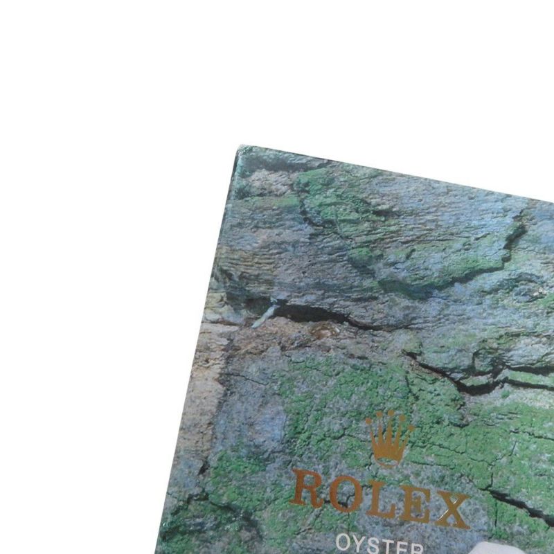 ロレックス エクスプローラー1 P番 114270 ROLEX 腕時計 黒文字盤