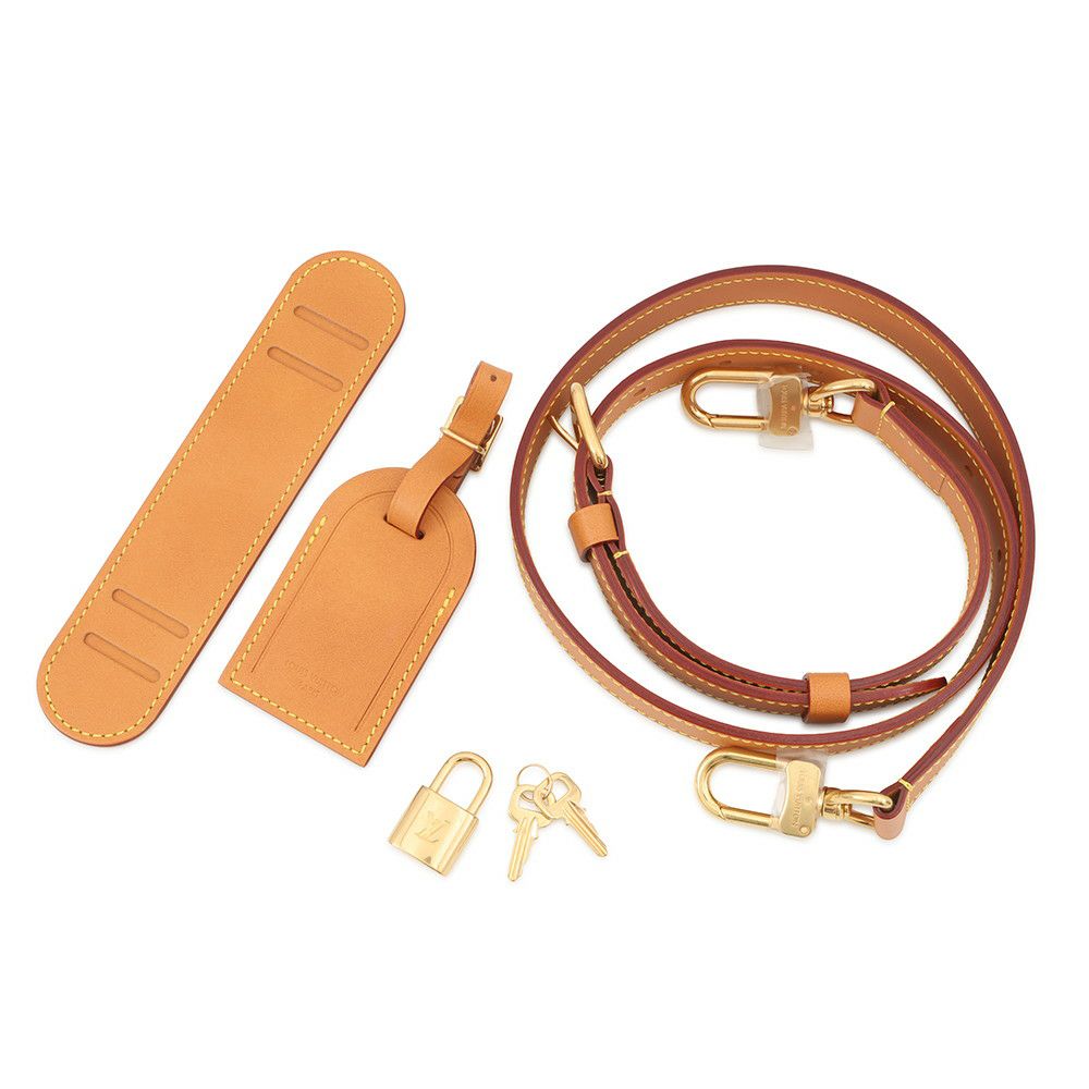 ルイヴィトン ハンドバッグ ダミエ・パームツリー スピーディ・バンドリエール25 N00225 LOUIS VUITTON 2way