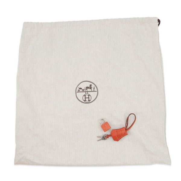 エルメス バーキン25 サンギーヌ/シルバー金具 ニロティカスマット □O刻印 HERMES Birkin ハンドバッグ